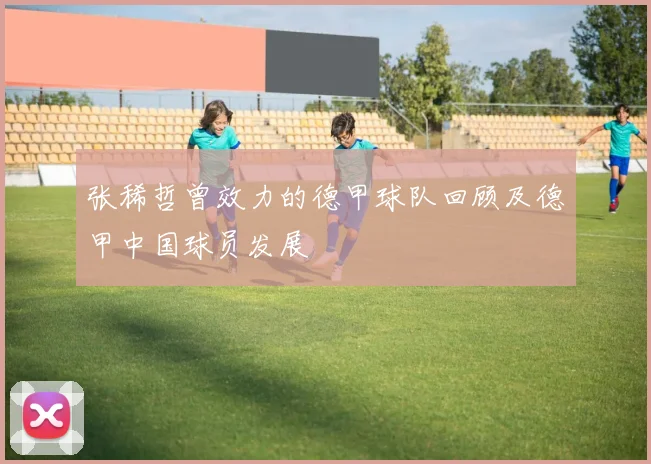 张稀哲曾效力的德甲球队回顾及德甲中国球员发展