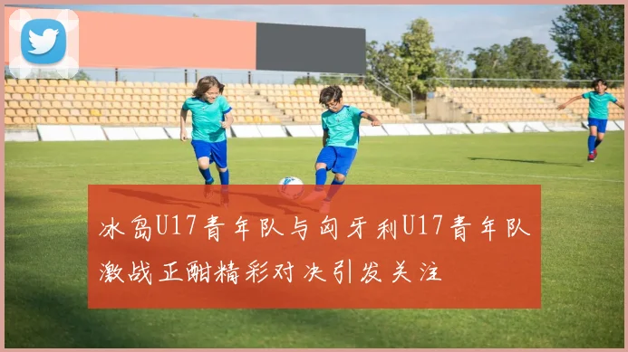 冰岛U17青年队与匈牙利U17青年队激战正酣精彩对决引发关注
