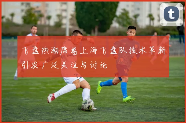 飞盘热潮席卷上海飞盘队技术革新引发广泛关注与讨论